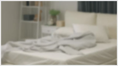 Airmega AP-1512HH Mighty